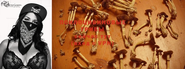 ALPHA-PVP Беломорск
