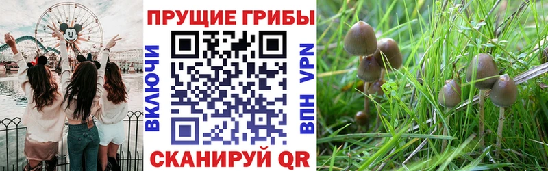 Псилоцибиновые грибы ЛСД  mega рабочий сайт  Муравленко 